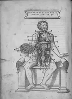 An illustration from Lodoici vassaei catalaunensis, doctoris, medici, in anatomen corporis humani, tabulae quatuor, ab authore nuper auctae et recongnitae (1553)