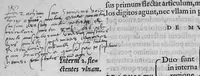 An illustration from Lodoici vassaei catalaunensis, doctoris, medici, in anatomen corporis humani, tabulae quatuor, ab authore nuper auctae et recongnitae (1553)