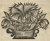 An illustration from Panacée ou discours sur les effets singuliers d'un remede experimenté & commode pour la guerison de la pluspart des longues maladies ; même de celles qui semblent incurables... (1679)