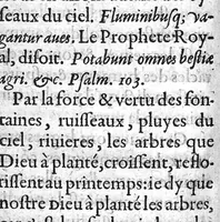 An illustration from Hydrologie ou discours de l'Eave (1614)