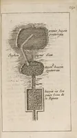 Picture 3 of 4 from Nouveau systeme des eaux minerales de Forges... (1699), leaf 282
