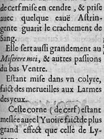 An illustration from La semaine des medicaments, observées chef-d'oeuures des Maistres Barbiers, chirurgiens de Paris. Où est sommairement traicté des vertus... (1629)