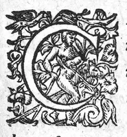 An illustration from Chirurgica spagyrica (1626)