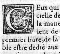 An illustration from Brief traité de la pharmacie pronvinciale et familiere : suivant laquelle la Medecine peut estre faicte des remedes qui se treuvent en chasque province, sans qu’on soit contraint les aller mandier ailleurs. Dressé et faict vulgaire par M. Antoine Constantin, D. en Medecine à Aix en Provence (1597)