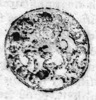 An illustration from Brief traité de la pharmacie pronvinciale et familiere : suivant laquelle la Medecine peut estre faicte des remedes qui se treuvent en chasque province, sans qu’on soit contraint les aller mandier ailleurs. Dressé et faict vulgaire par M. Antoine Constantin, D. en Medecine à Aix en Provence (1597)