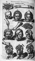 An illustration from Cheiroplotheke, seu... Armamentarium chirurgicum XLIII tabulis... exornatum. Opus posthumum... (1656)