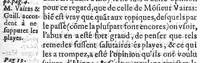An illustration from Replique à la response de M. maistre Jacques Vairas...sur la refutation et dispute entre eux desbattues, quant à la curation des Arcbusades. Chasque article desbatu tant par la doctrine d’Hippocrates, Galen, Guy, Paracelse et autres : le tout fidellement cottés en marge, et ou le Lecteur pourra voir la diligence dudict Aucteur (1590)