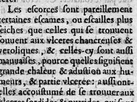 An illustration from L’epitome des ulceres ou les recherches tant théorique que pratique sur icelles... tradui t d'espagnol en françois par Brice Gay,.. (1614)