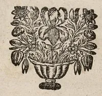 An illustration from Le parfait chirurgien d'armée, le traité des playes d'arquebusade, le chapitre singulier tiré de guidon... (1696)