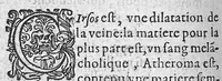 An illustration from Traité des maladies de l'oeil qui sont en nombre de cent treize, ausquelles il est suiect. Par Jacques Guillemeau, natif d’Orleans, chirurgien ordinaire du Roy, et juré à Paris ; A Monsieur Paré, Conseiller du Roy, son premier Chirurgien (1585)