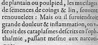An illustration from Traité des maladies de l'oeil qui sont en nombre de cent treize, ausquelles il est suiect. Par Jacques Guillemeau, natif d’Orleans, chirurgien ordinaire du Roy, et juré à Paris ; A Monsieur Paré, Conseiller du Roy, son premier Chirurgien (1585)