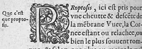 An illustration from Traité des maladies de l'oeil qui sont en nombre de cent treize, ausquelles il est suiect. Par Jacques Guillemeau, natif d’Orleans, chirurgien ordinaire du Roy, et juré à Paris ; A Monsieur Paré, Conseiller du Roy, son premier Chirurgien (1585)