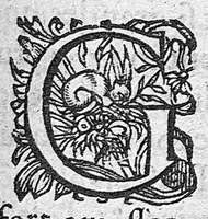 An illustration from Traité des maladies de l'oeil qui sont en nombre de cent treize, ausquelles il est suiect. Par Jacques Guillemeau, natif d’Orleans, chirurgien ordinaire du Roy, et juré à Paris ; A Monsieur Paré, Conseiller du Roy, son premier Chirurgien (1585)