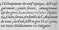 Picture 16 of 18 from Traité des maladies de l'oeil qui sont en nombre de cent treize, ausquelles il est suiect. Par Jacques Guillemeau, natif d’Orleans, chirurgien ordinaire du Roy, et juré à Paris ; A Monsieur Paré, Conseiller du Roy, son premier Chirurgien (1585), leaf 225