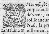 Picture 17 of 18 from Traité des maladies de l'oeil qui sont en nombre de cent treize, ausquelles il est suiect. Par Jacques Guillemeau, natif d’Orleans, chirurgien ordinaire du Roy, et juré à Paris ; A Monsieur Paré, Conseiller du Roy, son premier Chirurgien (1585), leaf 225