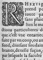 An illustration from Traité des maladies de l'oeil qui sont en nombre de cent treize, ausquelles il est suiect. Par Jacques Guillemeau, natif d’Orleans, chirurgien ordinaire du Roy, et juré à Paris ; A Monsieur Paré, Conseiller du Roy, son premier Chirurgien (1585)