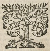 An illustration from La chirurgie pratique de Felix Wurtzius chirurgien très-habile, & très fameux à Basle. Nouvellement reveuë & corrigée, selon les manuscrits de l'auteur par Rudolfe Wurtzius,...traduite de l'alleman en françois par le sieur sauvin,..nouvelle edition (1689)