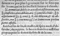 An illustration from Epitome des préceptes de medecine et chirurgie, avec amples des remedes propres aux maladies (1619)