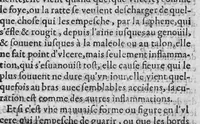 Picture 5 of 11 from Epitome des préceptes de medecine et chirurgie, avec amples des remedes propres aux maladies (1619), leaf 462