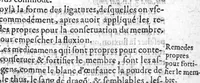 An illustration from Epitome des préceptes de medecine et chirurgie, avec amples des remedes propres aux maladies (1619)