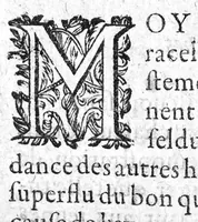 An illustration from La petite chirurgie autrement ditte La Bertheonee, ...plus les traittez du mesme autheur,...par Daniel Du Vivier (1623)