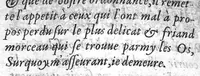 An illustration from Responce au Paradoxe de maistre Jacques de Marque ou il dict que la mouelle n’est pas la nourriture des os, (1607)