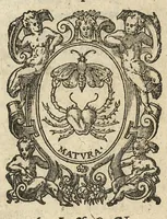 An illustration from Oeuvres chirurgicales (1643)