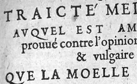 An illustration from Paradoxe ou traité medullaire auquel est amplement prouvé contre l’opinion commune & vulgaire que la moelle n’est pas la nourriture des os (1609)