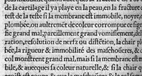 An illustration from Les Institutions chirurgiques de Jean Tagault,...nouvellement traduictes de latin en francoys... (1549)