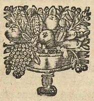 Picture 9 of 12 from Les principes de la chirurgie, reduits par tables, avec leurs explications en faveur des aspirans audit art (1673), leaf 133