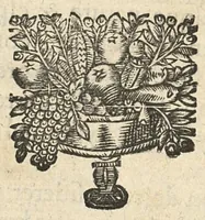 An illustration from Les principes de la chirurgie, reduits par tables, avec leurs explications en faveur des aspirans audit art (1673)