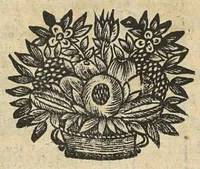 An illustration from Les principes de la chirurgie, reduits par tables, avec leurs explications en faveur des aspirans audit art (1673)