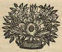 An illustration from Les principes de la chirurgie, reduits par tables, avec leurs explications en faveur des aspirans audit art (1673)