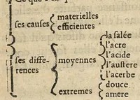 An illustration from Les principes de la chirurgie, reduits par tables, avec leurs explications en faveur des aspirans audit art (1673)