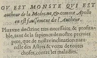 An illustration from La petite chirurgie chymique médicale, où est traicté amplement de l'origine des maladies et curation d'icelles (1621)