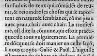 Picture 3 of 5 from Le guide des chirurgiens, fait en latin & redigé en trois livres ...translaté en latin par Germain Courtin... (1619), leaf 126