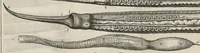 Picture 5 of 6 from Nouvelles experiences sur la vipere, ou l'on verra une description exacte de toutes ses parties, la source de son venin, ses divers effets, et les remedes exquis que les artistes peuvent tirer de la vipere... (1669), leaf 226