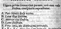 An illustration from Anatomia hepatis cui praemittuntur quidam ad rem anatomicam universae spectantia (1654)