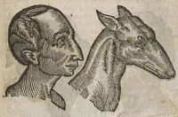 An illustration from La physionomie humaine de Jean Baptiste Porta...diviséee en quatre livres...premiere edition (1655)