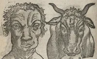 An illustration from La physionomie humaine de Jean Baptiste Porta...diviséee en quatre livres...premiere edition (1655)