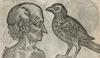 An illustration from La physionomie humaine de Jean Baptiste Porta...diviséee en quatre livres...premiere edition (1655)