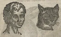 An illustration from La physionomie humaine de Jean Baptiste Porta...diviséee en quatre livres...premiere edition (1655)