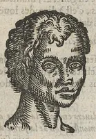 An illustration from La physionomie humaine de Jean Baptiste Porta...diviséee en quatre livres...premiere edition (1655)