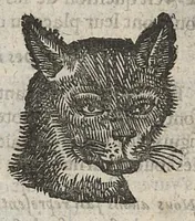 Picture 16 of 22 from La physionomie humaine de Jean Baptiste Porta...diviséee en quatre livres...premiere edition (1655), leaf 216