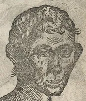 An illustration from La physionomie humaine de Jean Baptiste Porta...diviséee en quatre livres...premiere edition (1655)