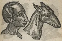 An illustration from La physionomie humaine de Jean Baptiste Porta...diviséee en quatre livres...premiere edition (1655)