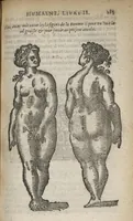 An illustration from La physionomie humaine de Jean Baptiste Porta...diviséee en quatre livres...premiere edition (1655)