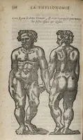 An illustration from La physionomie humaine de Jean Baptiste Porta...diviséee en quatre livres...premiere edition (1655)