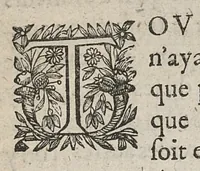 An illustration from La physionomie humaine de Jean Baptiste Porta...diviséee en quatre livres...premiere edition (1655)