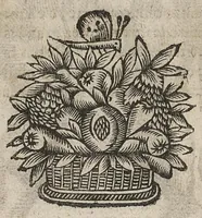 Picture 2 of 22 from La physionomie humaine de Jean Baptiste Porta...diviséee en quatre livres...premiere edition (1655), leaf 63